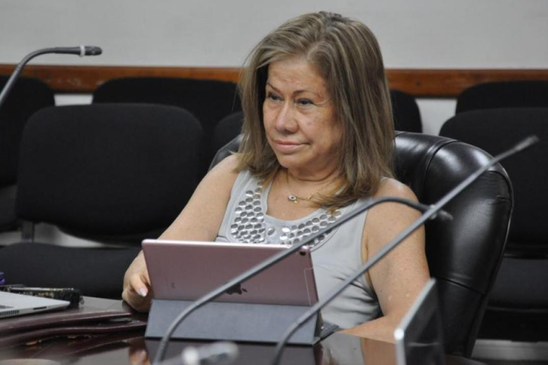 Graciela Camaño, Congreso, política, Foto: NA