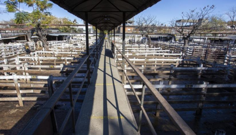 Mercado de Hacienda de Liniers, foto NA