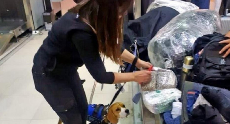 Ezeiza: detuvieron a un hombre cuando iba a viajar a España con 8,6 kilos de cocaína
