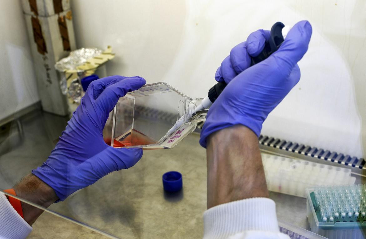 Científico cultiva células cancerosas en un laboratorio, REUTERS