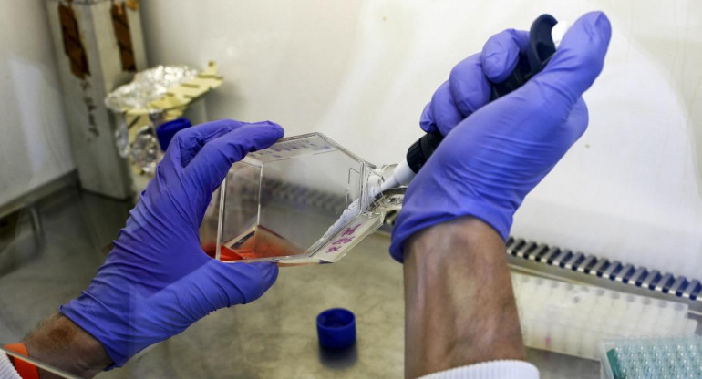 Científico cultiva células cancerosas en un laboratorio, REUTERS