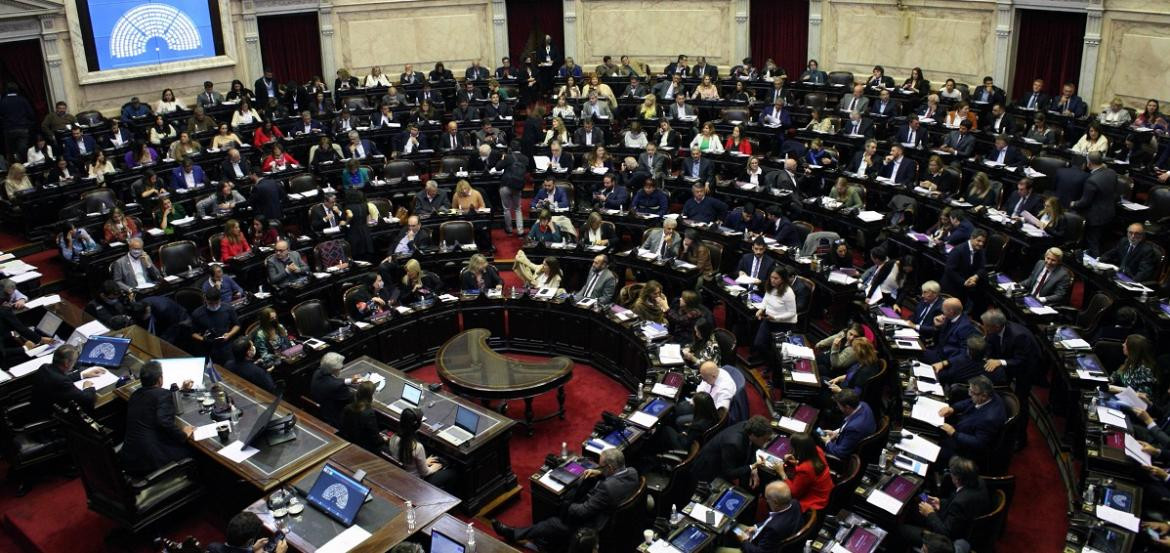 Diputados presentan proyecto salario básico universal. Foto: NA.