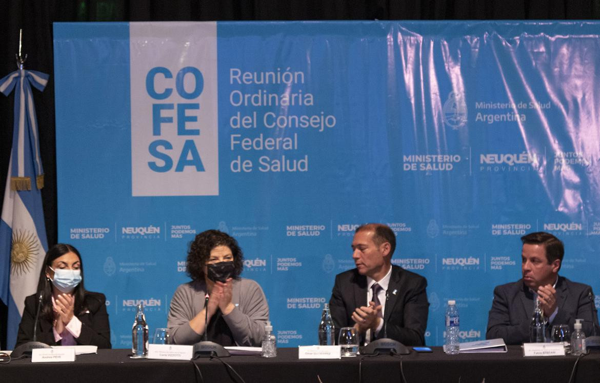 Carla Vizzzotti en reunión del Consejo Federal de Salud. Foto: NA.