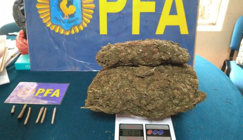 Marihuana hallada en un colegio de La Plata. Foto: NA.