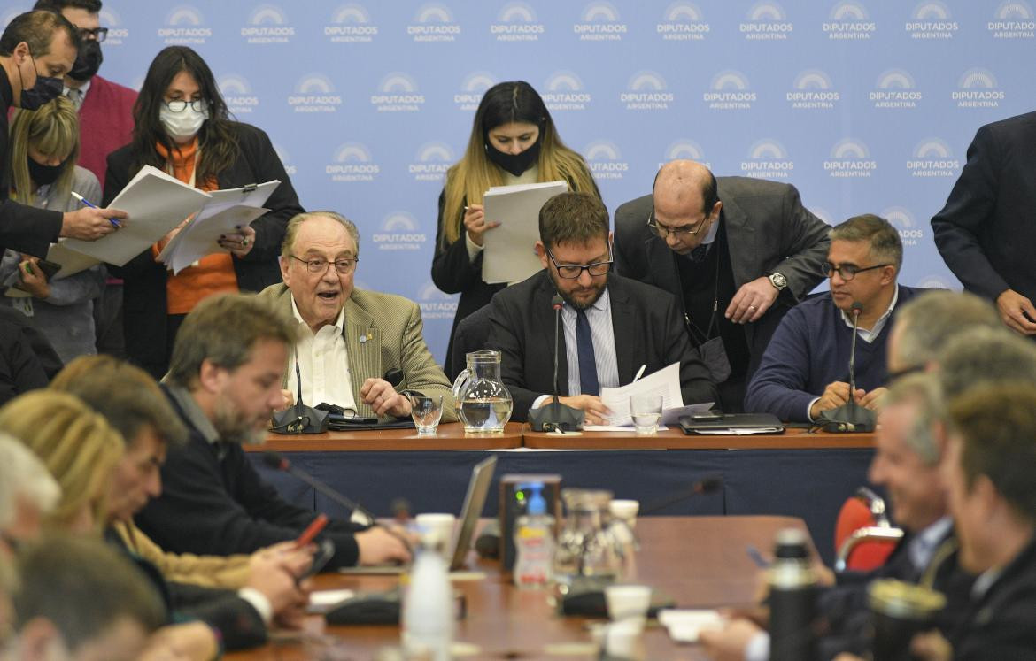 Reunión de comisiones de Diputados por la boleta única. Foto NA