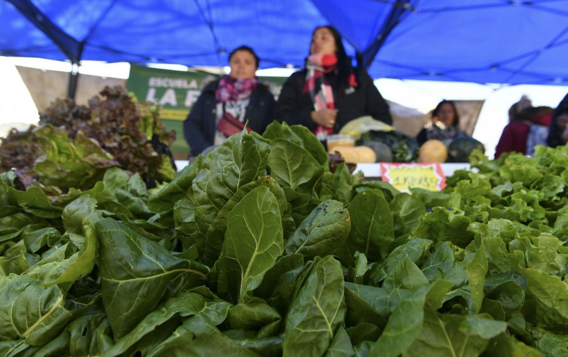 Verdurazo, protesta de productores, verduras, NA