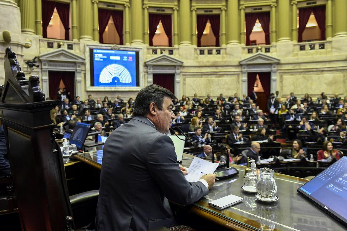 Diputados, Congreso, NA