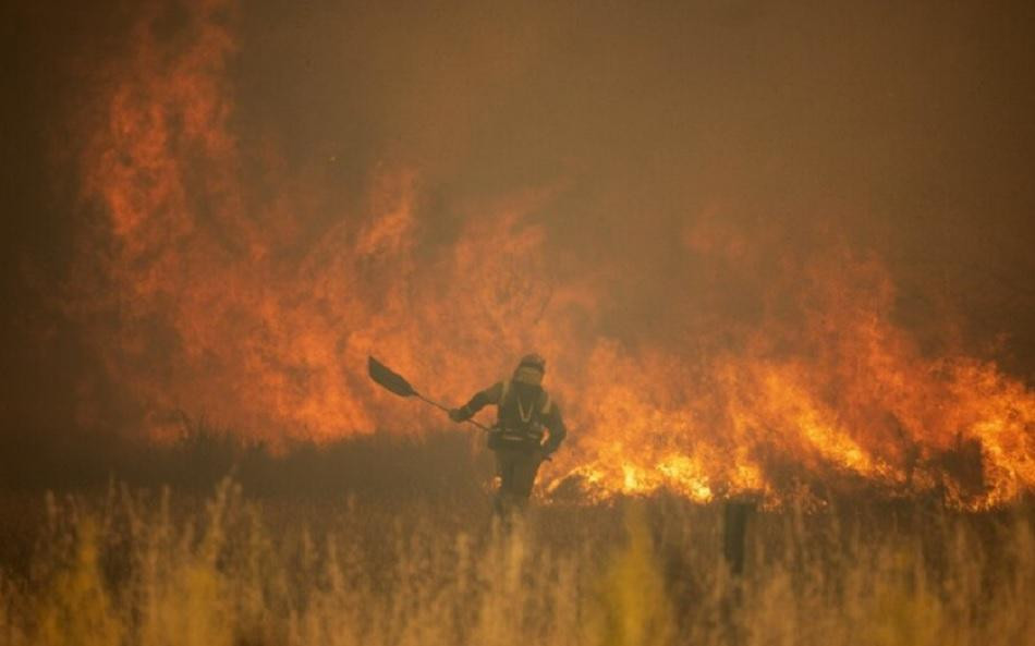 La inusual ola de calor en Europa produjo incendios en Alemania y España. Foto: NA