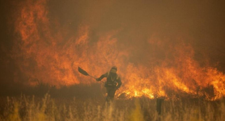 La inusual ola de calor en Europa produjo incendios en Alemania y España. Foto: NA