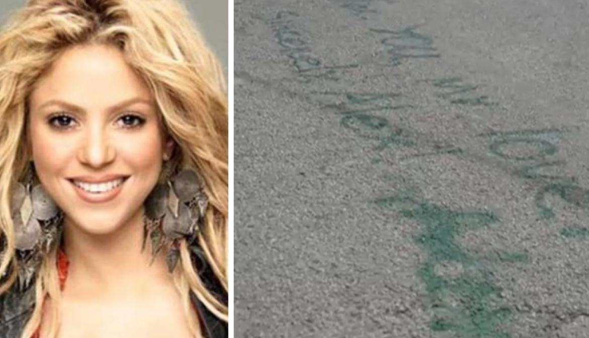 Shakira, cantante. Foto: NA y Twitter.