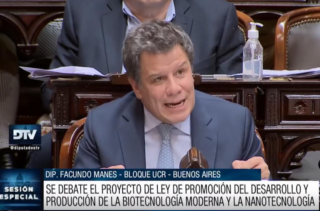 Facundo Manes, sesión Diputados. Foto: captura video.