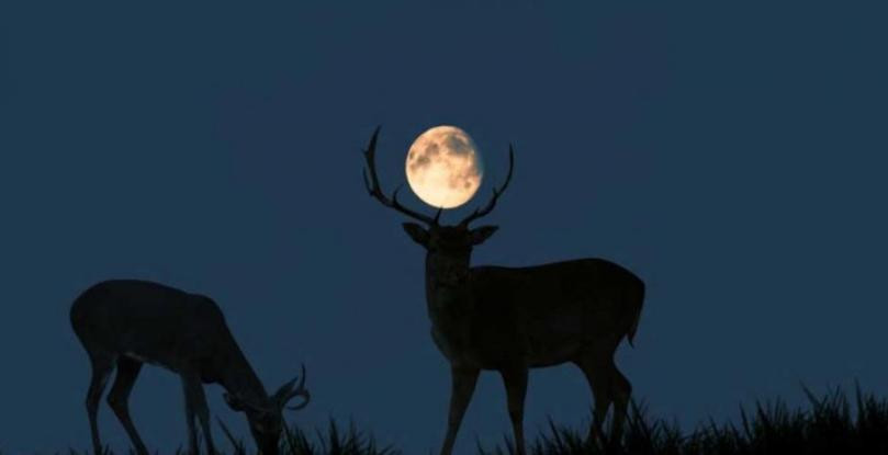 Será un 7% más grande que una Luna Llena. Foto: NA.