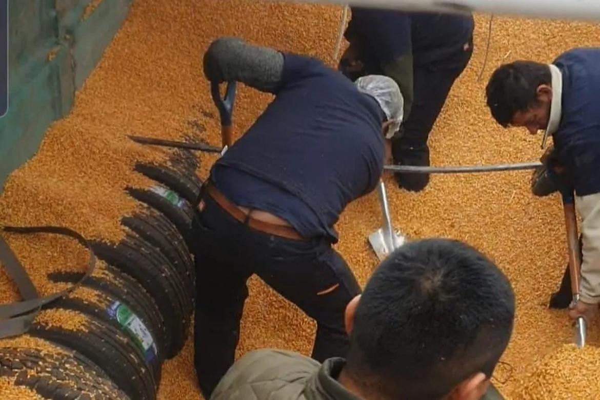 Aduana detectó neumáticos escondidos entre granos. Foto: DNA