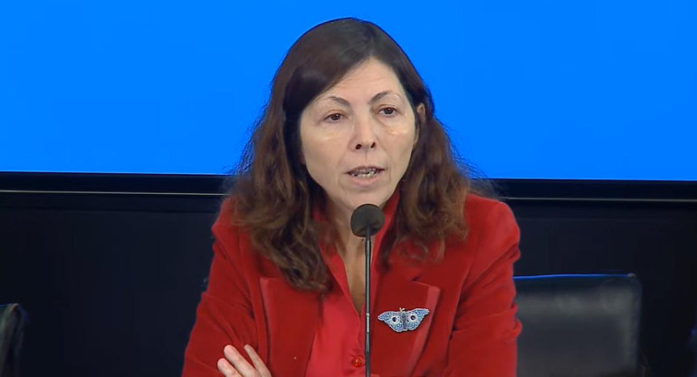 Silvina Batakis, Ministra de Economía, Gobierno, conferencia, foto captura video	