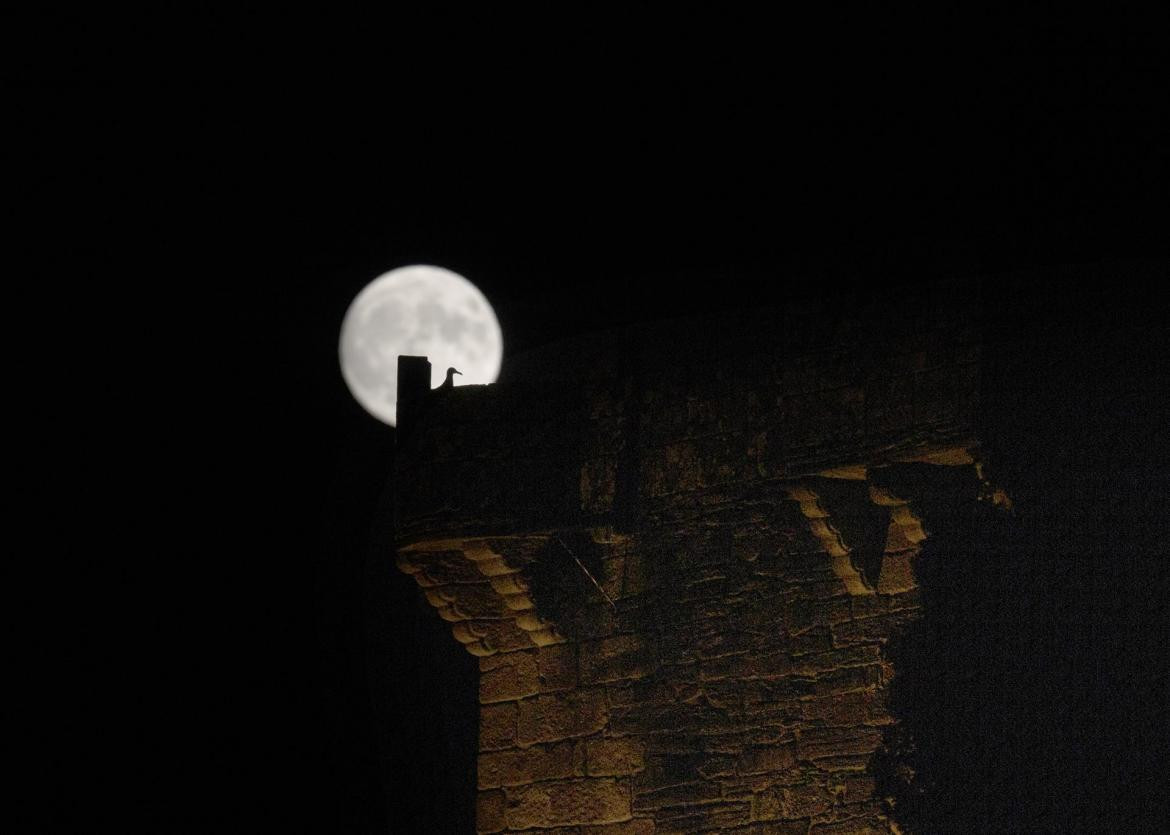 Superluna de ciervo. Foto: EFE.