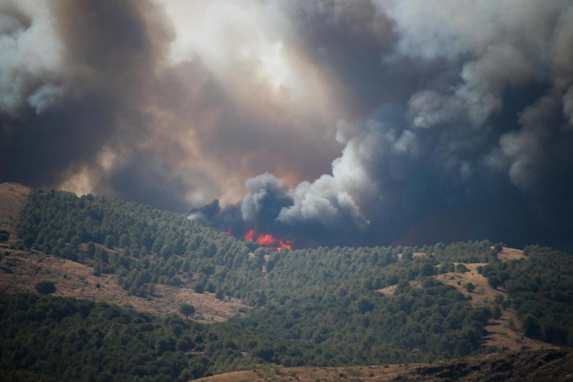 Incendios forestales en España. EFE
