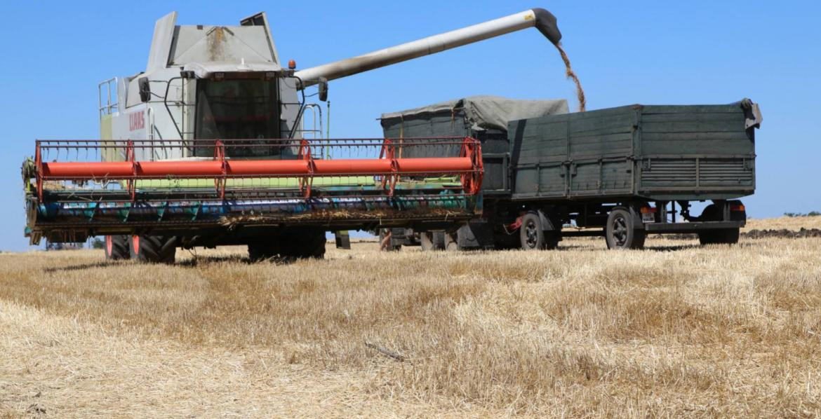 Maquinaria agrícola cosecha trigo. Foto: NA.