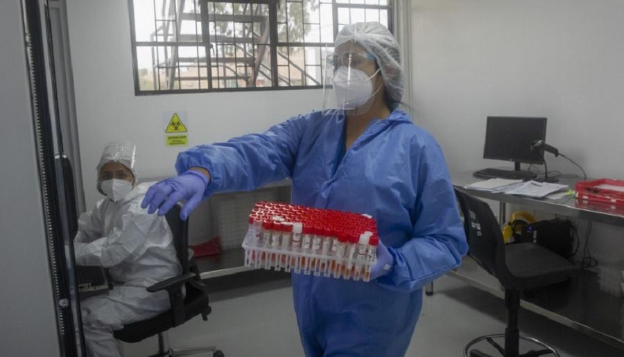 La OMS expresó su preocupación por el aumento de casos de viruela del mono en Brasil