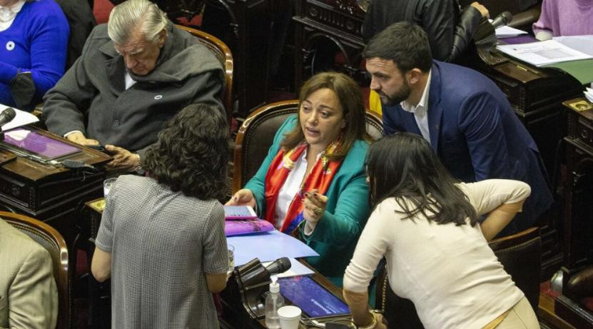 Cecilia Moreau en plena sesión de la Cámara de Diputados. Foto: NA.