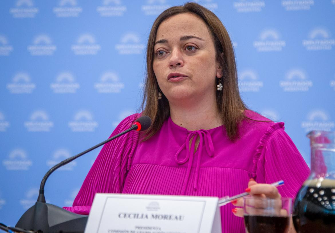 Cecilia Moreau, presidenta de la Cámara baja en lugar de Sergio Massa. Foto: NA.