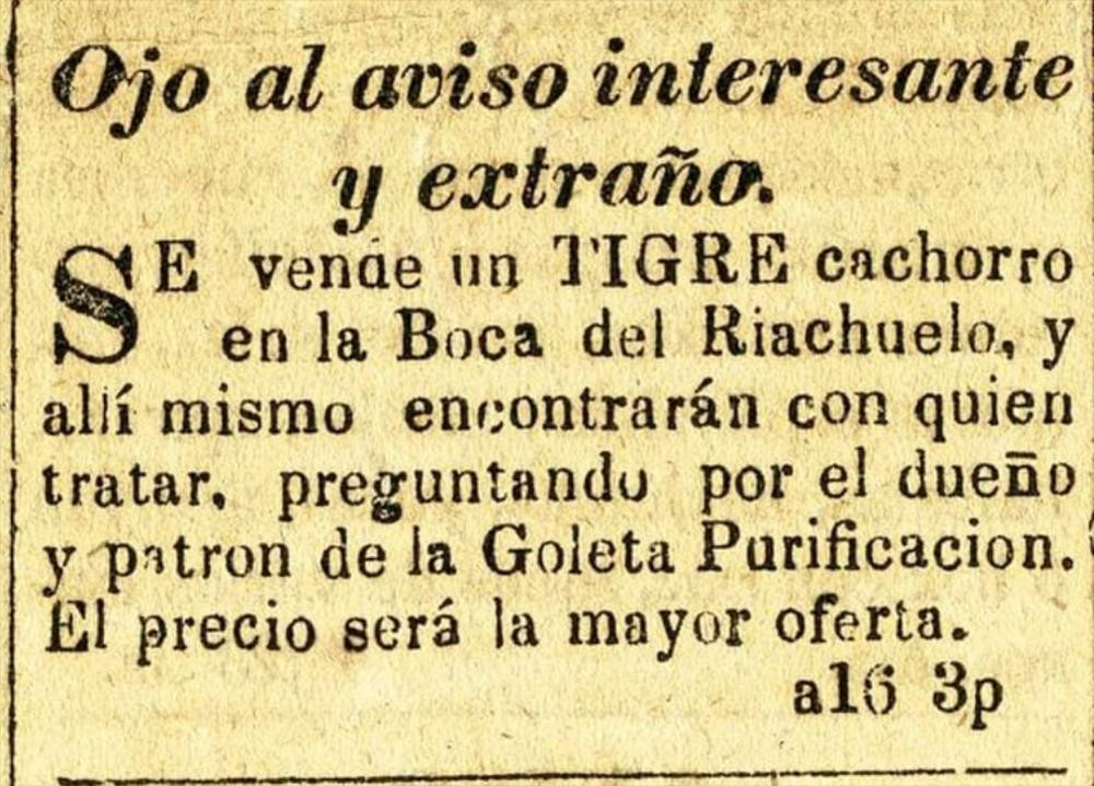 05 La Gaceta Mercantil. Buenos Aires, 16 de agosto de 1843