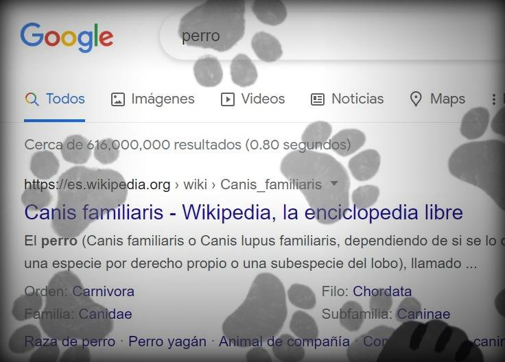 Pantalla de Google con huellitas. Foto: captura de pantalla.
