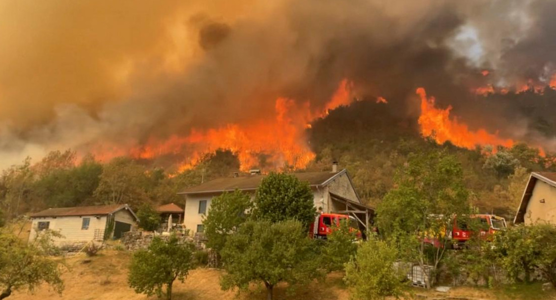 Incendio forestal en California. Foto: Reuters