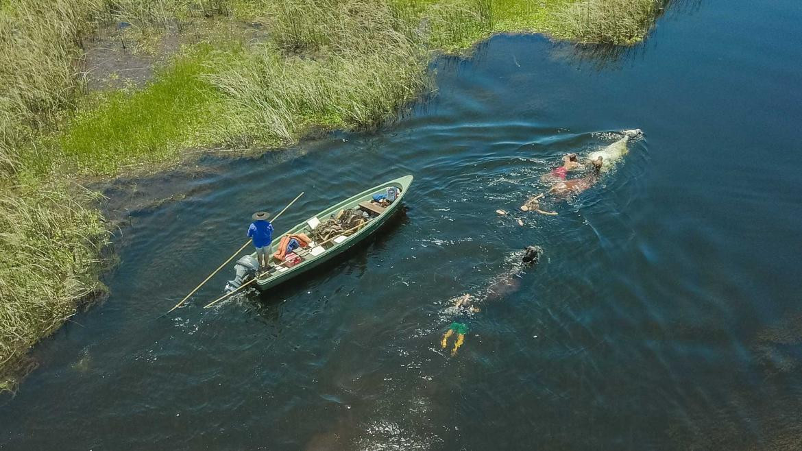 Iberá. Foto INPROTUR Argentina