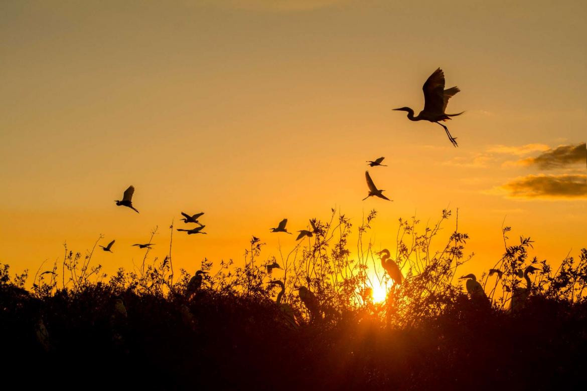 Iberá. Foto INPROTUR Argentina