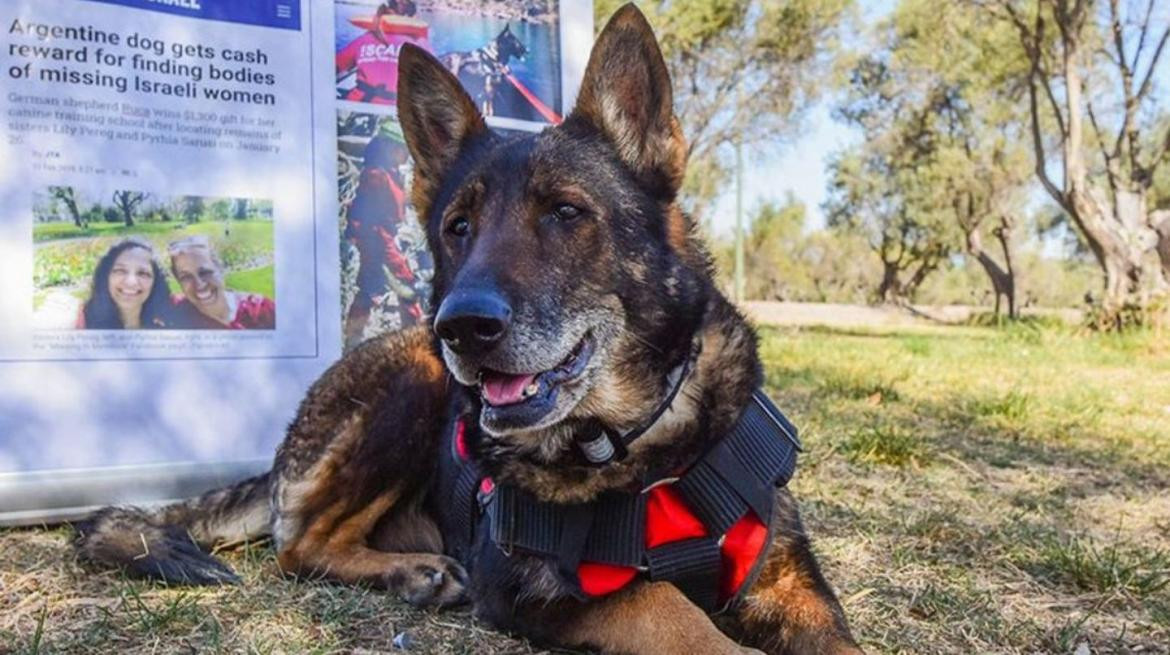 Ruca tenía 13 años y llevaba casi un año sin prestar servicio. Foto: gentileza Los Andes.