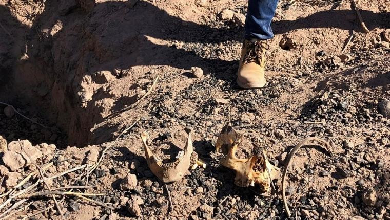 Tres fosas clandestinas fueron localizadas al sur de México. Foto: EFE.