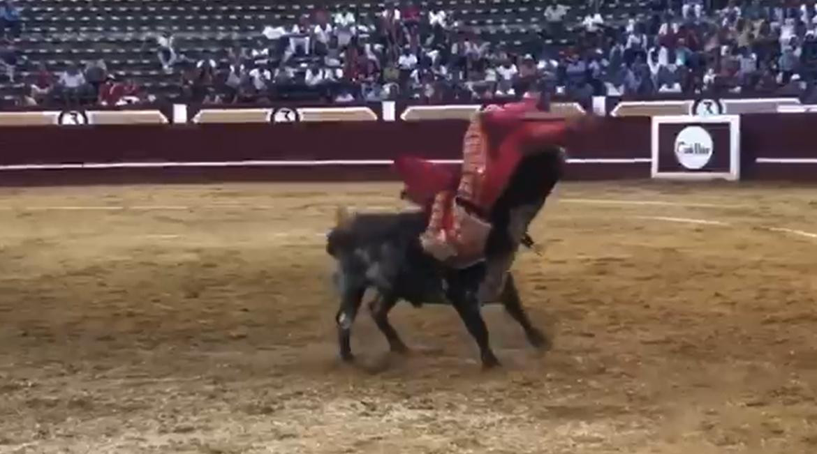 Un torero sufrió una cornada. Foto: captura pantalla.