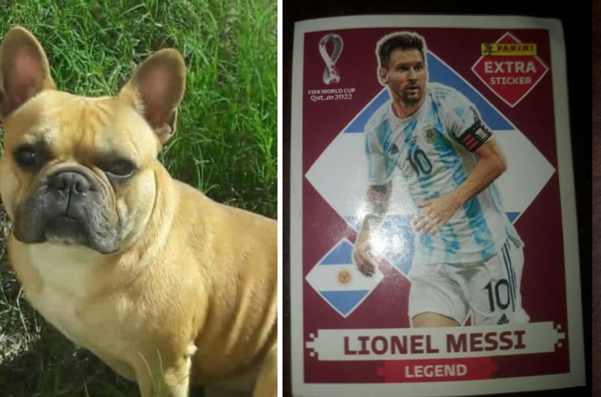 Un nene cambia una figurita de Messi por el perro de su amigo