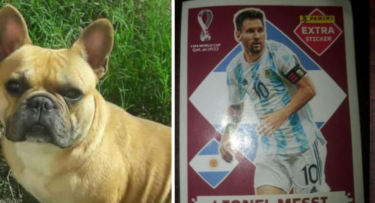 Un nene cambia una figurita de Messi por el perro de su amigo