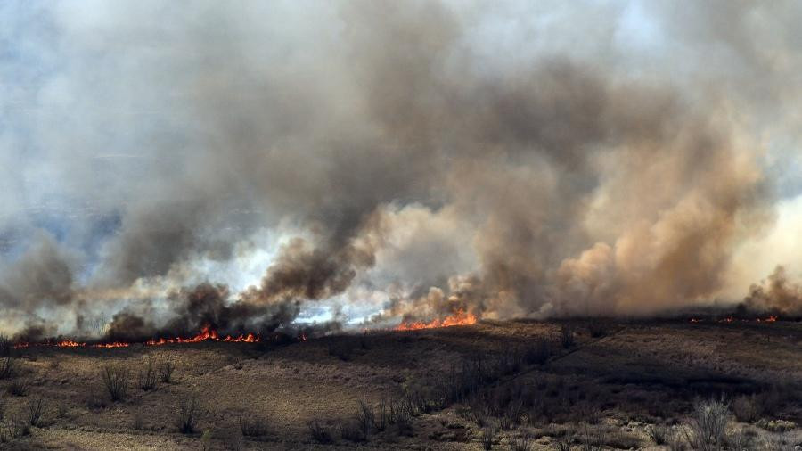 Incendios en el Delta. Foto: Telam.