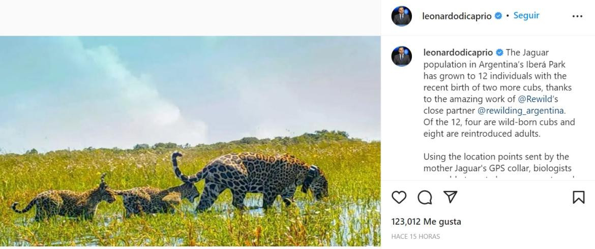 El posteo de Leonardo DiCaprio_Instagram/leonardodicaprio