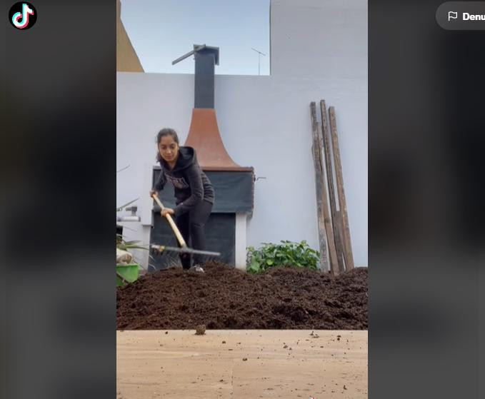 Video viral, argentina renueva su patio. Foto: TikTok.