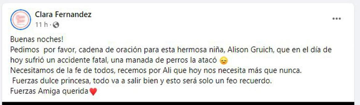 Posteo en las redes sociales por la nena agredida por jauría en Bolívar. Foto: Facebook.