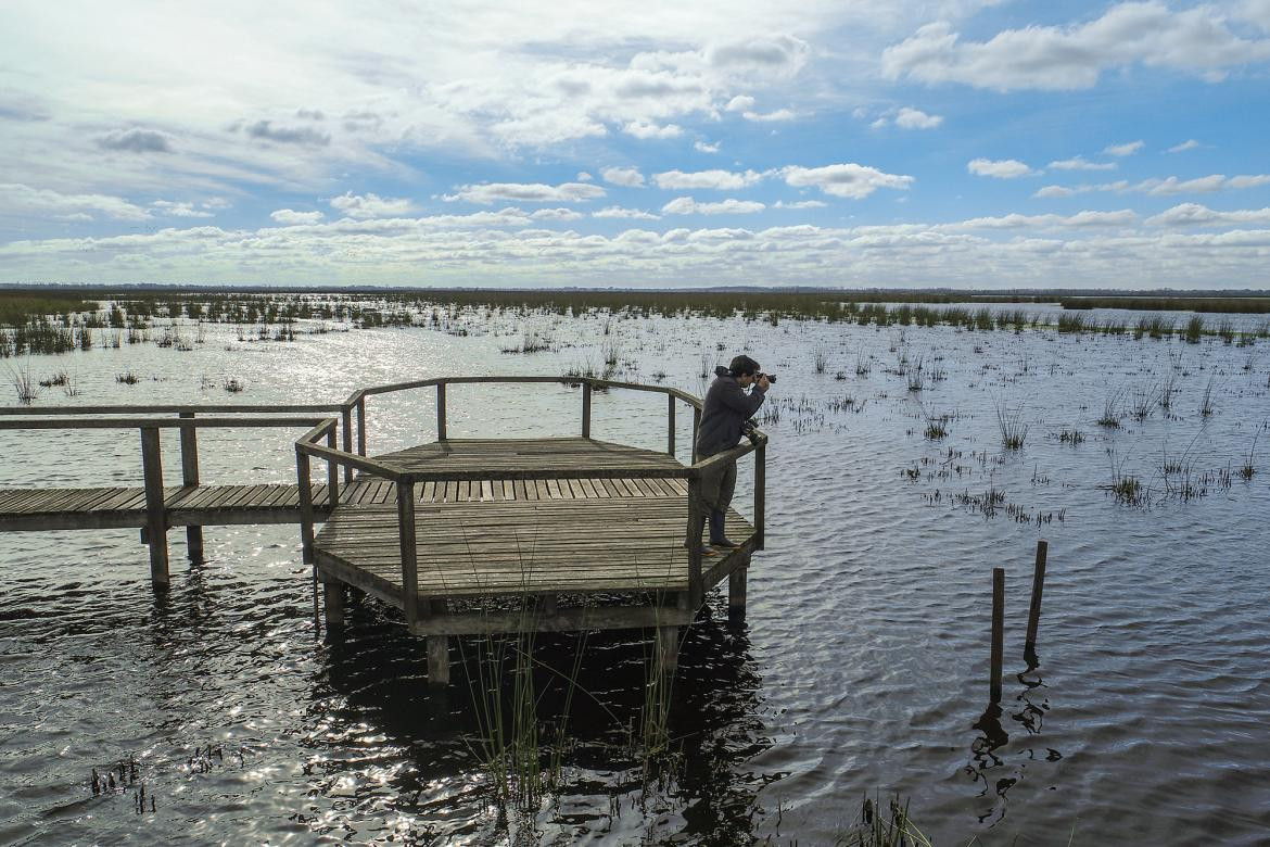 Foto: Parque Nacional Ciervo de los Pantanos. Gentileza. Parques Nacionales. Argentina.gob.ar