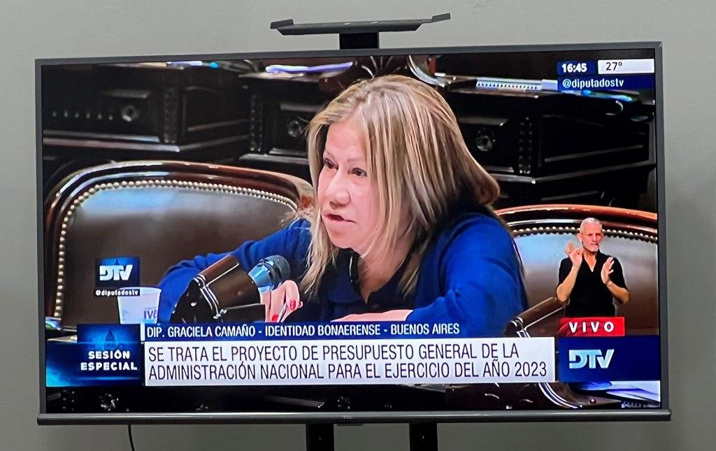 Graciela Camaño, Diputada, NA, DTV