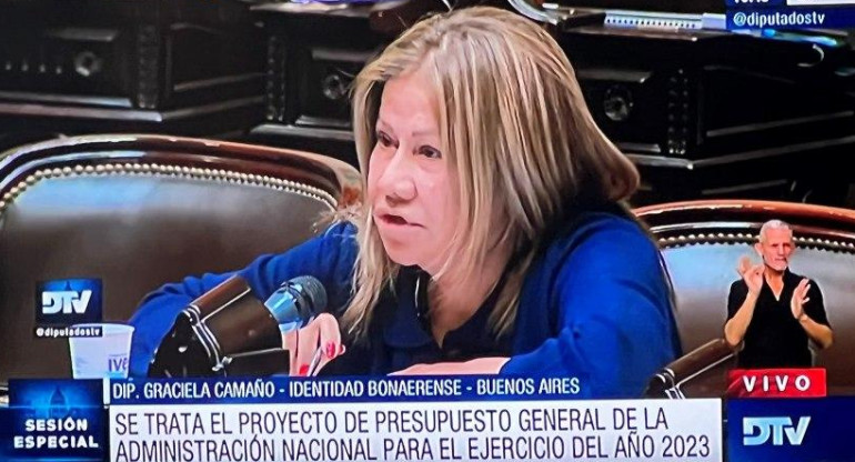 Graciela Camaño, Diputada, NA, DTV