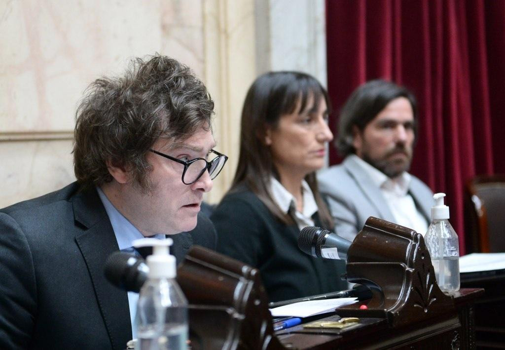 Javier Milei en la Cámara de Diputados. Foto: NA.