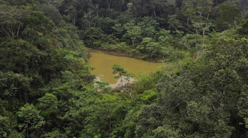 El Amazonas peruano. Foto: REUTERS