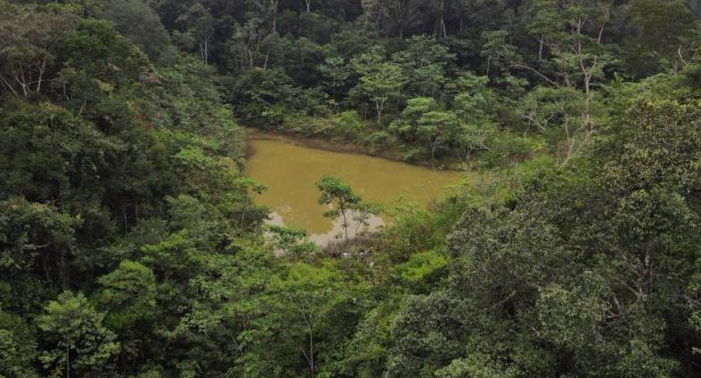 El Amazonas peruano. Foto: REUTERS