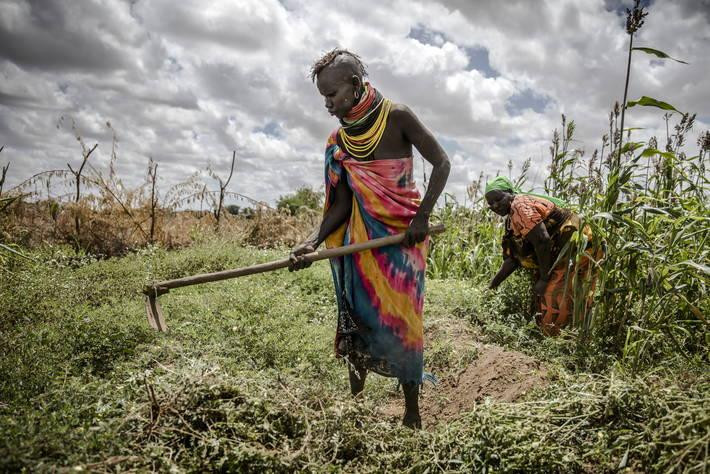 Campos, agricultura. Foto: FAO.