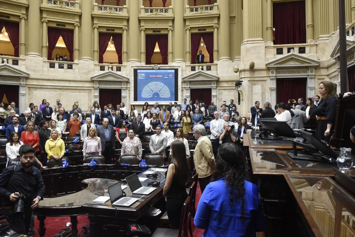 Homenaje a Hebe de Bonafini en la Cámara de Diputados. Foto: Telam.