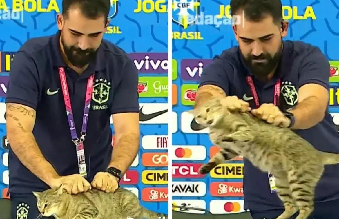 Un gato interrumpió en la conferencia de prensa de Vinicius Junior. Foto: Captura de video.