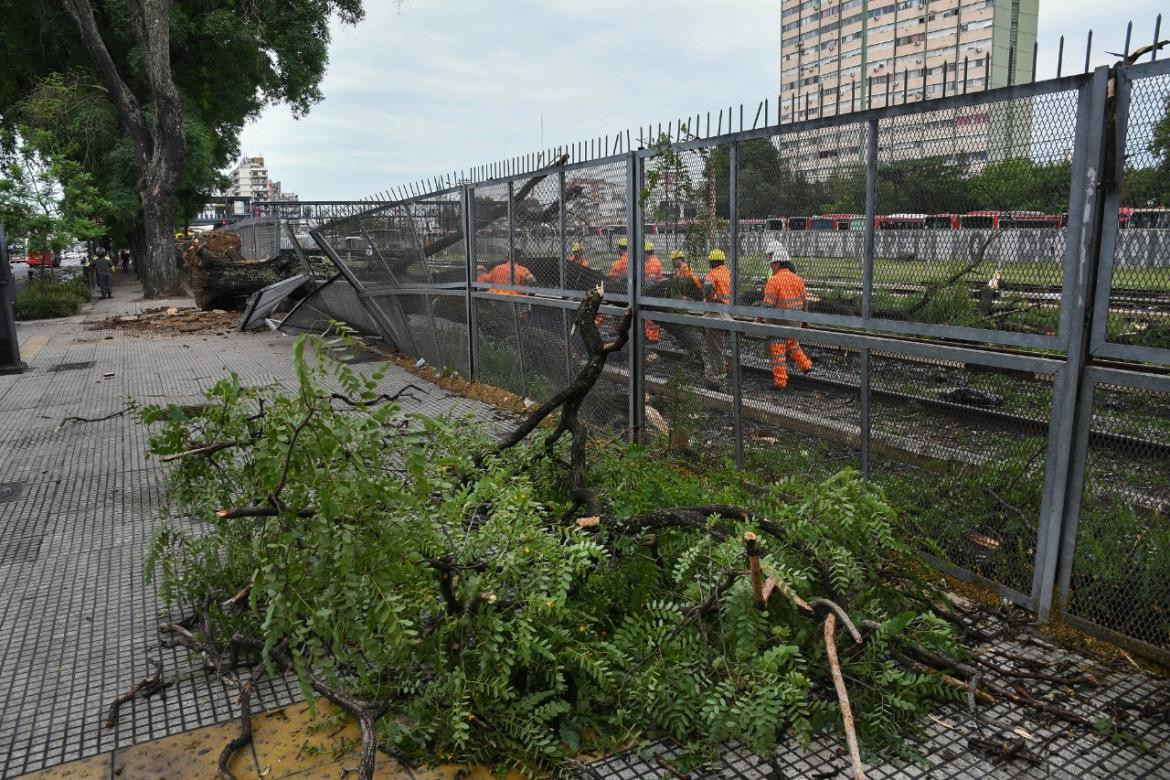 Un árbol interrumpió el servicio del tren Sarmiento. Foto: Télam