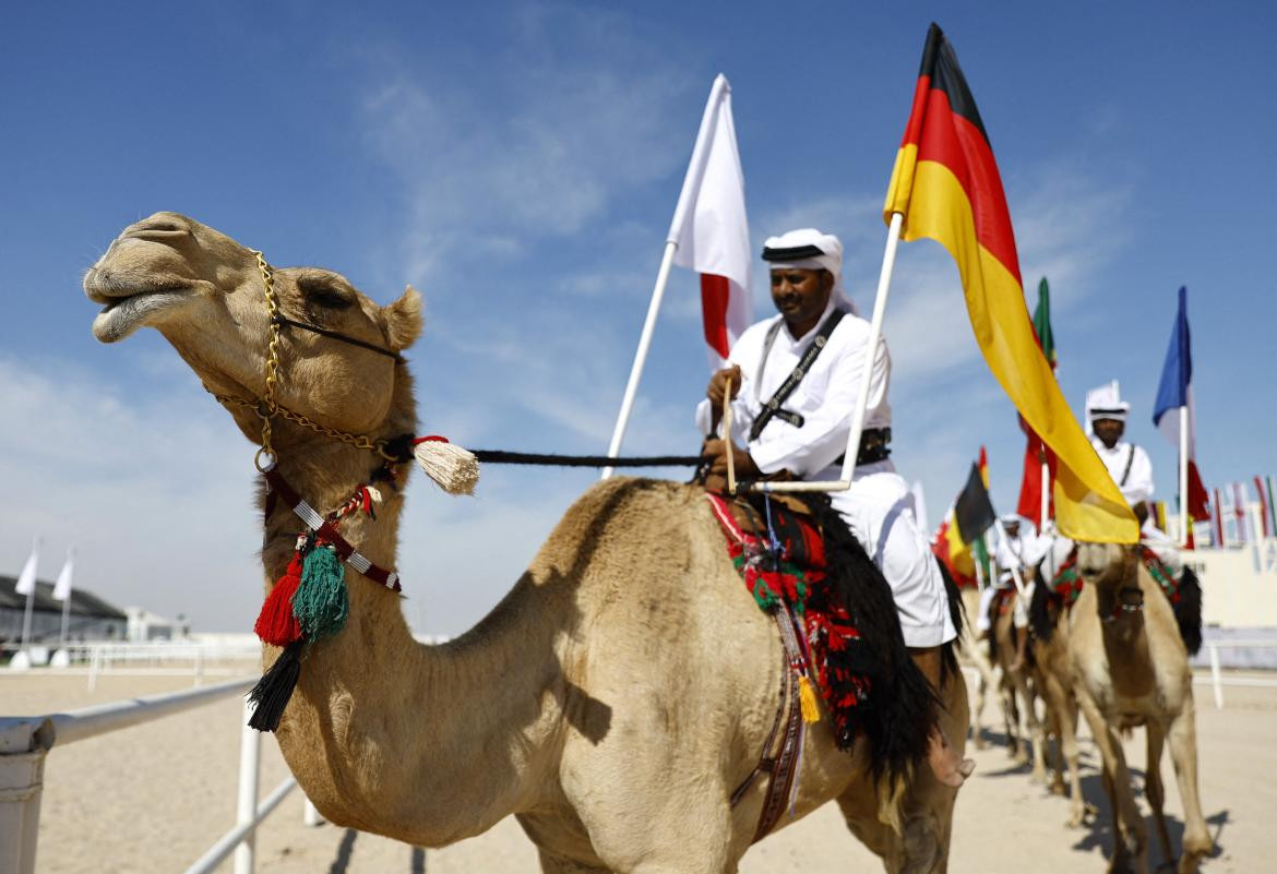 ¿Qué es el "virus del camello"? Foto: Reuters.