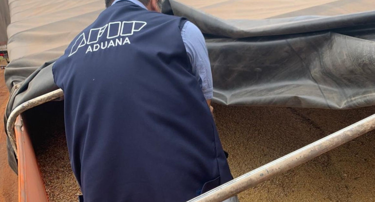 Aduana secuestró soja dañada de contrabando a Brasil 